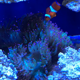 おっ？くるか？入るのか？どっちだーーー笑の画像