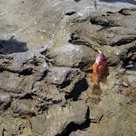 台風15号の画像
