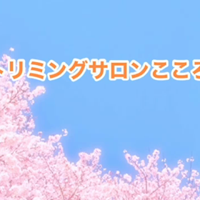 3月　〜スライドショー〜の画像