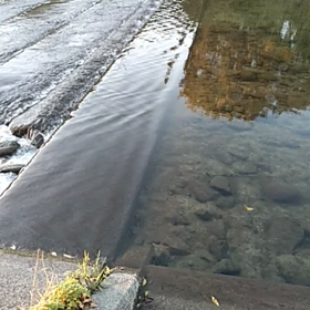 癒しの音の画像