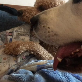 何して遊んでいるのかなぁ？の画像