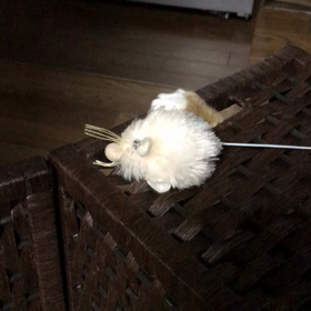 ネズミさんお気に入りにゃ。の画像