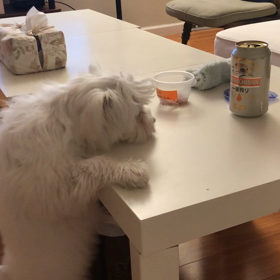 無駄な時間の画像