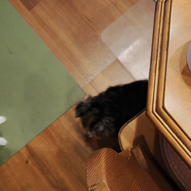 ご飯大好き♥の画像