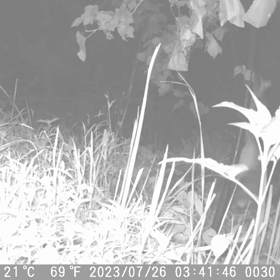 すぎぴたんの事件簿シーズン3　335話（密着・無銭飲食24時！　終わってくれぇ～）の画像