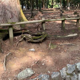 こんにちはの画像