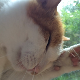 暇すぎての画像