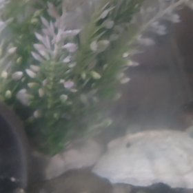 もう１つおまけの画像