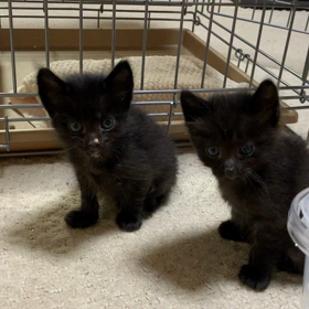 今を楽しむ。の画像