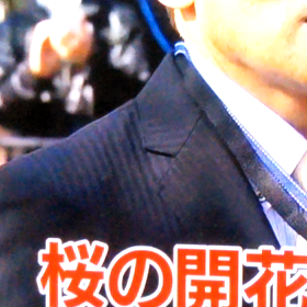 親近感ヾ(*´∀｀*)ﾉの画像