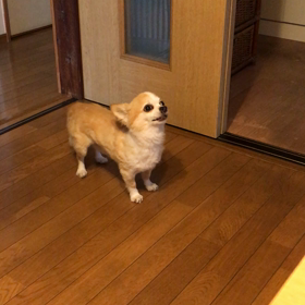 謎の症状001の画像