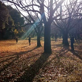 400インターバル⑩の画像