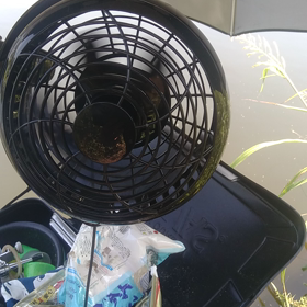 8月15日　びん沼　砂塚橋南岸　下流に１００メータ位の画像