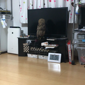 パニック❗️の画像