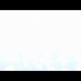 紹介動画できました！！の画像