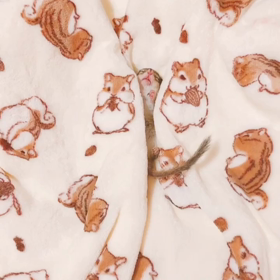 ちょこたんを探せ〜♡♡の画像