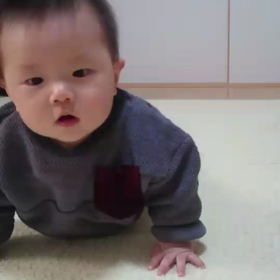 朝くんハイハイの画像