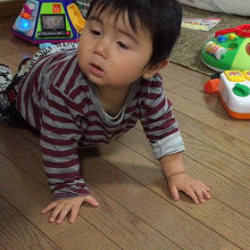 バタバタな日々の画像