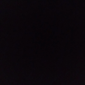 イナイトコロエの画像