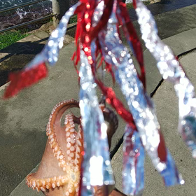 タコ‼️　釣れました‼️の画像