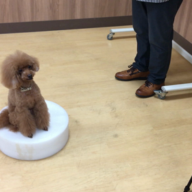 長いぜ〜。の画像