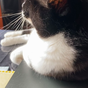 おはよう❣️の画像