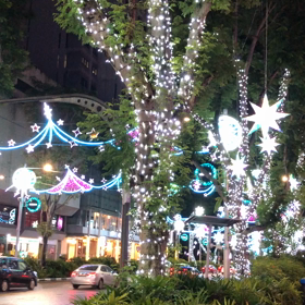 シンガポールのクリスマスとタイム・チモールのアロマ。の画像