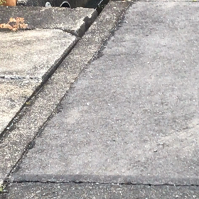 イタチ‥（チョウセンイタチ）の画像