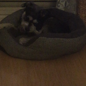 あら見てたのね〜の画像