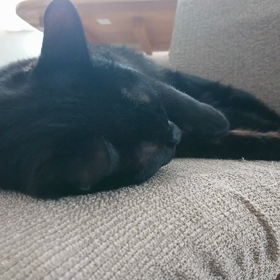 サービスちょーだいな。の画像