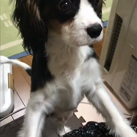知らんでな〜(￣∀￣)の画像