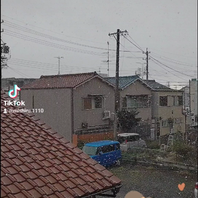 突然雪が……( ;´･ω･`)の画像