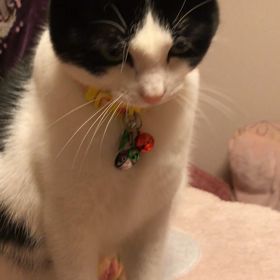 愛娘動画三連発の画像