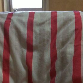 ひょこりはん(″ﾉдﾉ）の画像