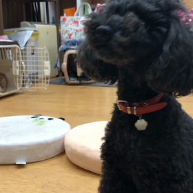 さすがね。の画像