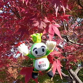 11/19の画像