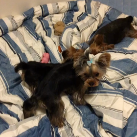 好きな遊びは……の画像