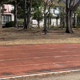 リレー特別練習（トラック）⑯の画像