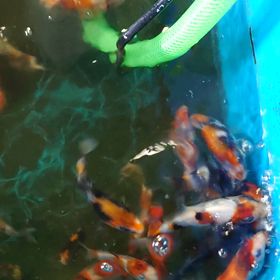 どーいうこと？の画像