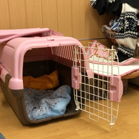 大好きなピンクにしたよ。の画像