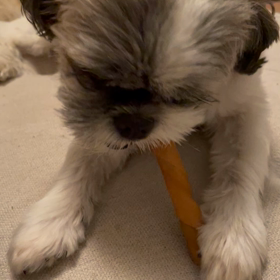 鵜頭川村事件　全話の画像