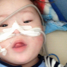 今日のつばちゃんの画像