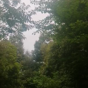 全部なくなっちゃってる、、、の画像