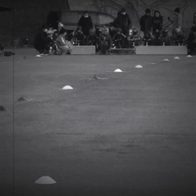 過去と現在の画像