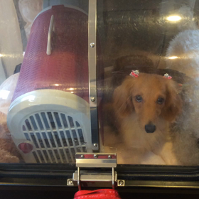 ⬛️6/14〜6/20＊酸素カプセルご利用のお友達⬛️の画像