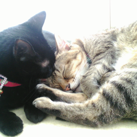 後日談　　の画像