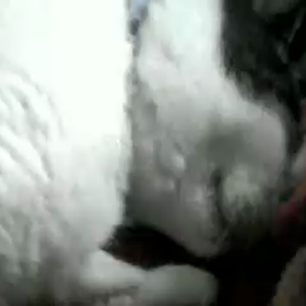 今服薬してる薬についての画像