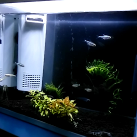 水槽レイアウトの画像