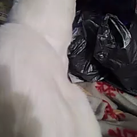 a6ヒロくんの画像