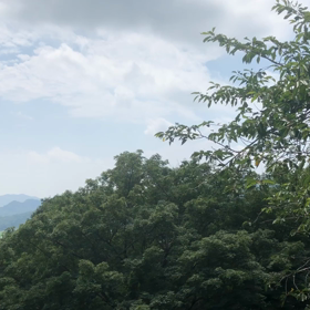 太平山。の画像